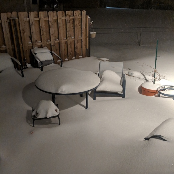 PLUS SIZE CLOSET! The Real Greta Von K  - Picture 7 of 7